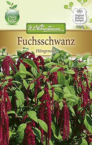 N.L. Chrestensen 5004 Fuchsschwanz Hängender (Fuchsschwanzsamen)