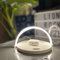 Qivation TiO2 Multifunctional Desk Lamp with Wireless Charger, Japan Tech 24/7 Air Purification, LED table lamp 3 Brightness Levels, Phone stand, Eye-Caring Night Light Qi Comp. for Home & Office