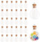 Dokeno 30 pièces Petite Fiole en Verre avec Bouchon, 1-2 ml Mini Bouteille Petite Fiole en Verre avec Bouchon pour Bricolage Fabrication de Pendentifs Artisanat et Décoration de Fête