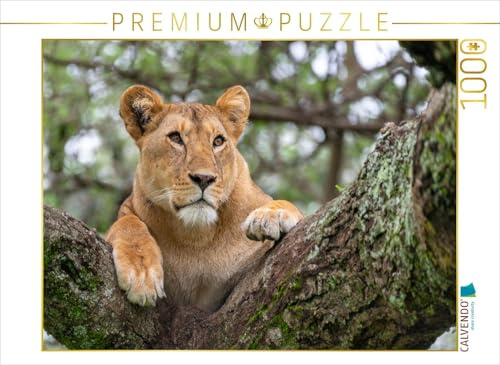 CALVENDO Puzzle Löwin am Lake Ndutu, Tansania | 1000 Teile Lege-Größe 64 x 48 cm Foto-Puzzle für glückliche Stunden