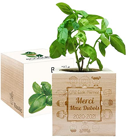 Amikado - Ecocube gravé Merci Maîtresse (Basilic) - Plantes dans Un Cube en Bois - 100% Eco Friendly - idée Cadeau Durable
