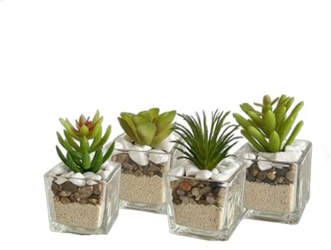 SinergiaFD Set di 4 Piante Finte da Interno Mini Piante Grasse Artificiali in Vaso di Vetro 6x6x12,8 cm