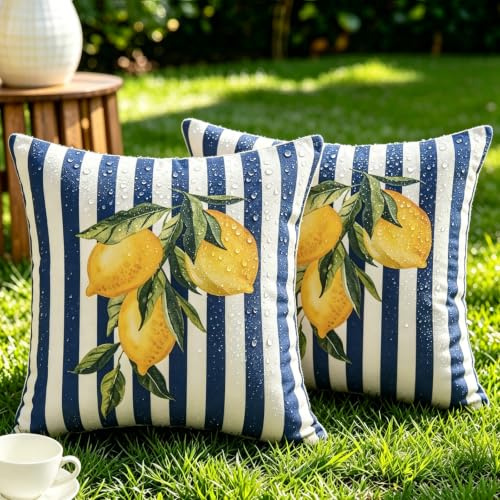 2er Set Bunt Outdoor Kissenbezug 40x40 Frühling Sommer Polyester Ozean Blau Kissenbezüge Streifen Zitrone Muster Wetterfest Kissen Landhausstil Deko für Wohnzimmer Schlafzimmer Garten Sofa Küste