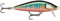 Rapala - Angelköder Countdown Elite - Angelzubehör aus Balsaholz - Süßwasser-Spinnköder - Sinkend - Lauftiefe: 1,2m - Größe: 7,5cm / 10g - Hergestellt in Estland - Gilded Oikawa