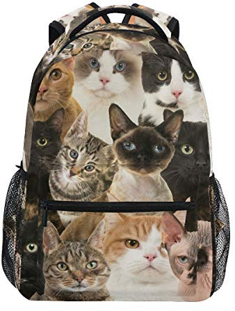 Rootti Rucksack mit Katzen-Motiv, Tagesrucksack, Segeltuch, Schule, mit Reise-Büchertasche, Rucksack für Teenager, Jungen, Mädchen, Männer und Frauen