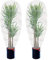 2 Packs Insect Bird Barrier Netting Mesh with Drawstring Garden Bug Netting Plant Cover for Protect Plant Fruits Flower