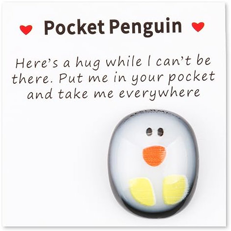 GLADFRESIT Pocket Penguin Hug, Mini Cute Penguin Gifts Encourage Keepsake Ornament for Lover Friends Family