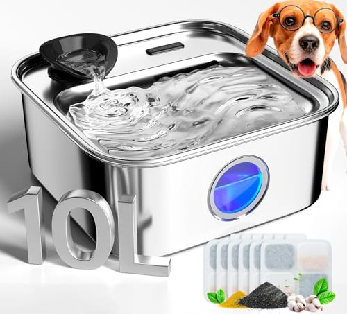oneisall Fontaine à Eau pour Chiens de Grande Taille (avec 5 filtres) 10 L