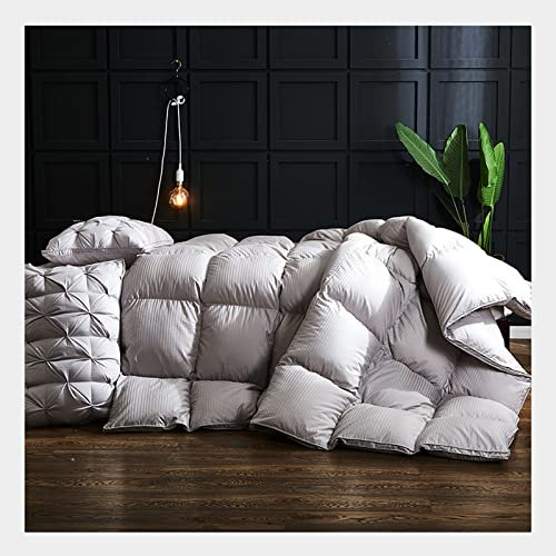 Weiche Daunendecke, Alternative Daunendecke für die ganze Saison, warme, luxuriöse Plüsch-Loft-Mikrofaserfüllung, Bettdeckeneinlage (Größe: 220 * 240 cm)