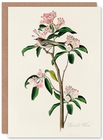 Artery8 John James Audubon Art Card Cuviers Kinglet Bird and Mountain Laurel