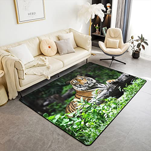 Loussiesd Tiger Wohnzimmer Teppiche Wild Tier Dekor Teppich Jugend Dekor Safari Katze Druck Akzent Teppich 3D Digital Print Indoor Fußmatte Raum Dekor Wohnzimmerteppich 100x150 cm