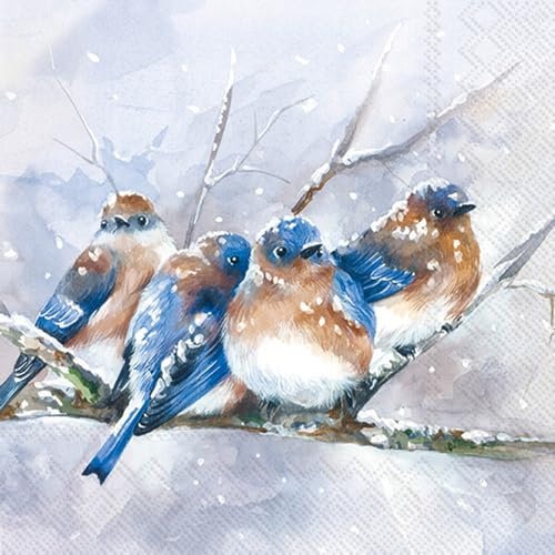 IHR Serviette Cuddly Birdies, 33 x 33 cm, 20 Stück, zum Dekorieren, Papierservietten für Tischdekoration, Party, Feier und Anlässe
