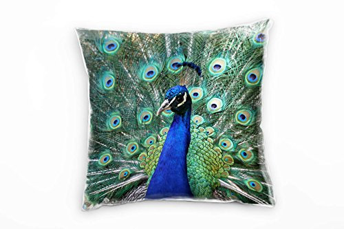 Paul Sinus Art Tiere, Pfau, blau, grün, weiß, nah, braun Deko Kissen 40x40cm für Couch Sofa Lounge Zierkissen - Dekoration zum Wohlfühlen