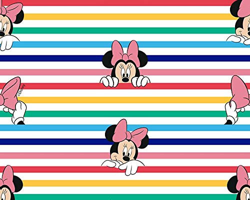 Little johnny Disney Minnie Maus Regenbogenstreifen bedruckter Baumwollstoff Fat Quarter