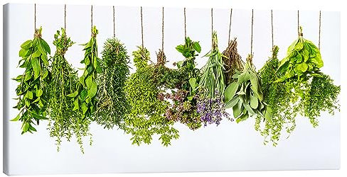 Posterlounge Herbes aromatiques suspendues Tableau sur toile 40 x 20 cm Vert Tableaux Décoration murale