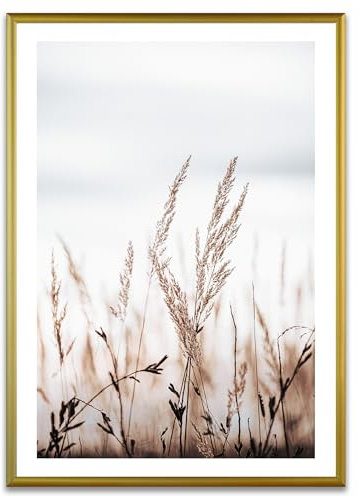 ARTFAVES® Poster - Gräser bei Sonnenuntergang | Wanddeko Wandbild Fotografie Modern | mit Rahmen Alu Gold | 21 x 30 cm