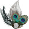 TPZORJX 1 pcs Pfauenfedern Haarschmuck mit Brosche,pfau kostüm damen,Pfau Kostüm, Gefieder Kopfschmuck, Feder Haarreif, 1920 Accessoires Damen,20er Jahre Haarspange,Fasching,Halloween,Karneval