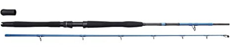 Savage Gear Hochseerute 1,90m XXH 200-600g SGS2 Boat Game Rute
