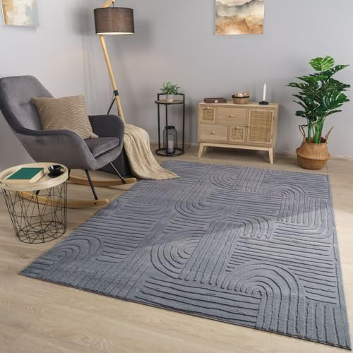 TT Home Wohnzimmer Teppich Esszimmer Kurzflor Geometrische Optik Skandi Boho Unifarben, Farbe:Dunkelsilber Anthrazit, Größe:240x340 cm