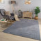 TT Home Wohnzimmer Teppich Esszimmer Kurzflor Geometrische Optik Skandi Boho Unifarben, Farbe:Dunkelsilber Anthrazit, Größe:240x340 cm