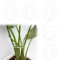 Fnaobai 5 Stück Pflanzenstielhalter Unterstützung Schildkrötenmuschel Bambusmuschel Set für Kletterpflanzen Indoor Monstera Leaf Pflanzenunterstützung Zubehör für Outdoor Gärten hält Pflanzen gedeihen