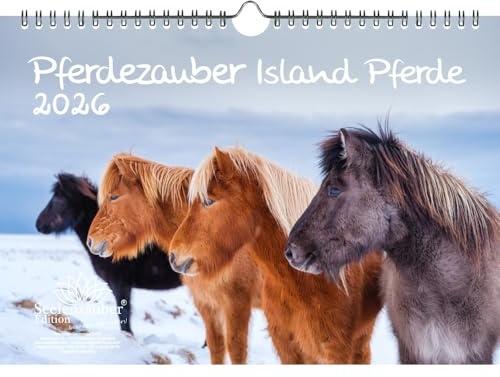 Pferdezauber Island Pferde DIN A4 Kalender für 2026 Pferde und Fohlen - Seelenzauber