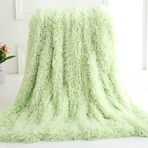 Nicole Knupfer Kuscheldecke Felldecke Langhaar Decke Microfaser Kunstfell Decke Flauschig Klimaanlage Decke für Couch Bett (Grün,130 x 160 cm)