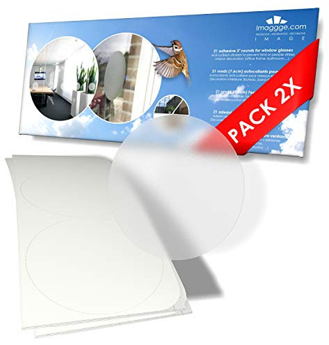2 set di 21 adesivi rotondi (42 tondi) – adesivi anti-collisione per prevenire persone o uccelli colpiscono sul vetro della finestra/colori disponibili a scelta (diametro 7,6 cm) (traslucido/polvere)