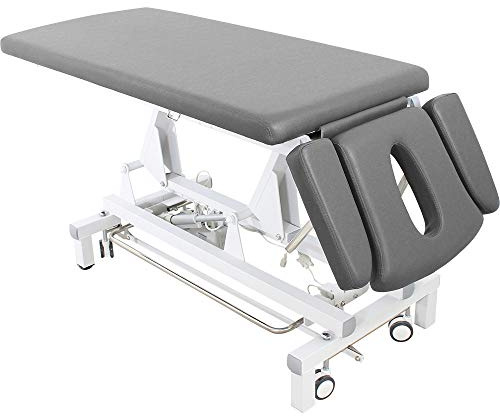 d807 elektrische Massageliege Behandlungsliege mit Rundumschalter weiß, blau, grau, weinrot (grau)