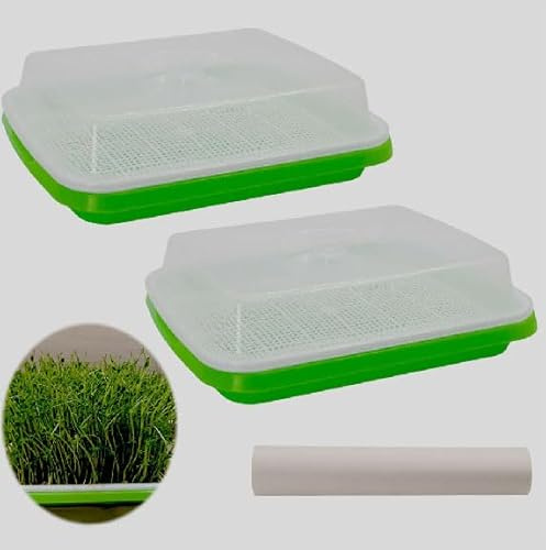 MODUODUO Vassoio per germogliare semi, 2 pezzi, senza suolo, contenitore per germogliare erba di grano con coperchio, 20 CPS in carta per la germinazione