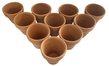 Lot de 10 mini pots en terre cuite 10 x h 10 cm