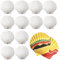 Wondora 12 Stück Weiße Jakobsmuscheln, Natur Muscheln Deko, 10-12cm Große Deko Muscheln, Handverlesen für DIY-Malerei, Bastelsets, Malerei Muscheln, Ostergeschenke, Muschel-Windspiel