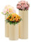 Hochzeit Karton Blumenständer Vasen, 3 Stück Faltbarer Tafelaufsatz aus Karton Tische Zylinder Ständ für Hochzeit Party Geburtstag Tischdekoration