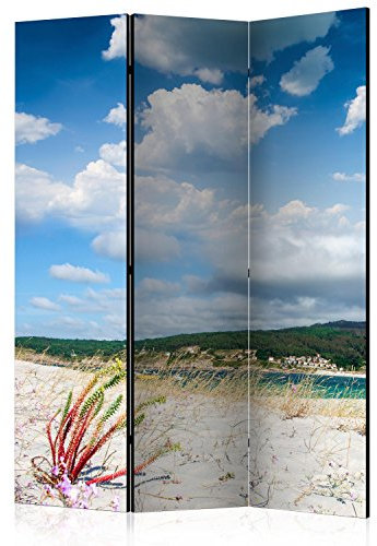 murando Raumteiler Foto Paravent Strand am Meer 135x172 cm beidseitig auf Vlies-Leinwand Bedruckt Trennwand Spanische Wand Sichtschutz Raumtrenner Home Office Natur Landschaft c-B-0353-z-b