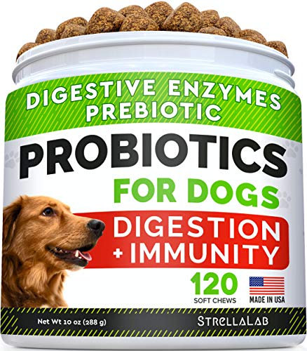 Easy Life 38 Verschiedene Sorten und Größen 250 ml - 5 Liter Profito, Carbo, Kalium, AlgExit, BlueExit, Voogle UVM. (Easy Aquamaker 5 L)
