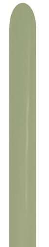 Sempertex Modellierballons Größe 260Q Eukalyptus - Eucalyptus 100 Stück
