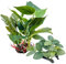 M2cbridge Plantes artificielles en soie pour aquarium (2 pièces hautes et courtes)