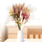 111 Piezas Natural Pampas Secas Decoracion, Ramo Plumas Flores Secas Decoracion, Hierba de Pampa Esponjosas para Decoracion Boho Fiestas Boda Hogar Salon