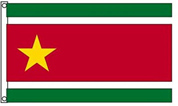 Stormflag Drapeau Guadeloupéen Indépendantiste 60x90cm Drapeau Guadeloupe indépendant 2x3ft Polyester 90g avec œillets et Double couture