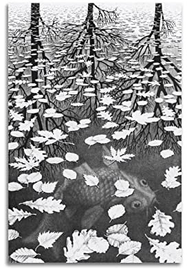 JAHER M.C. Escher Gemälde Kunstwerke – (drei Welten) Poster Leinwand Wandkunst Drucke Geschenke Foto Bild Gemälde Raumdekoration Heimdekoration 20 x 30 cm