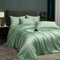 Luofanfei Housse de Couette 220x240 Vert Menthe Adulte 2 Personnes Bambou Polyester Parure Linge de lit Uni Lisse Soyeux Ensemble Literie avec Fermeture éclair et 2X 65x65cm Taies d'oreiller