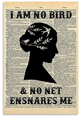 Vintage-Poster, DYJI Am No Bird And No Net Leinwand-Kunstposter und Wandkunst, Bilderdruck, modernes Familienschlafzimmerdekor-Poster, 40 x 60 cm