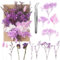 aurorayer Fleurs Séchées, Fleurs Sechees Naturelles Vraies Fleurs Pressées Séchées Decoration pour Scrapbooking Bougie Bricolage Résine Époxy Floral Fabrication Artisanale (Violet)