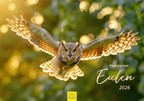 Edition Seidel Premium Kalender Faszination Eulen 2026 Format DIN A3 Wandkalender Tierkalender Eulenkalender Eule Uhu Vogel Wildvogel