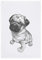 Geschirrtuch weiss, MOPS, grau