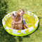 Float Joy Planschbecken für Kinder Pool Aufblasbar Kinderpool Baby Pool Hundepool mit Sprinkler 150 x 45 cm Wasserspielzeug Kinder Outdoor babypool für Balkon
