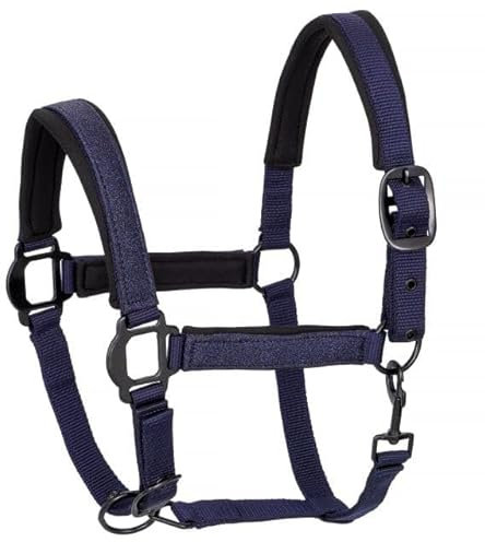Start Weiches Pferdehalfter mit Neoprenpolsterung – Verstellbares Nylon Halfter für Pferd – Weidehalfter & Stallhalfter – Reißfest & Komfortabel (Full (Warmblut), Dunkelblau)