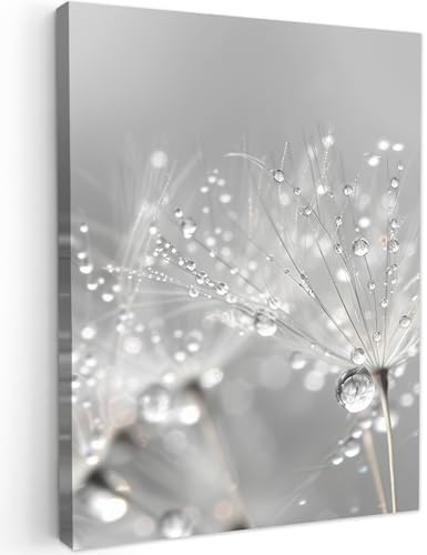 MuchoWow© Leinwandbilder Wall Art Decoration Bilder für die Wand - Modern | 60x80 cm - Schlafzimmer Deko Canvas Painting Wanddekoration Wohnzimmer Pusteblume - Wassertropfen - Stilleben