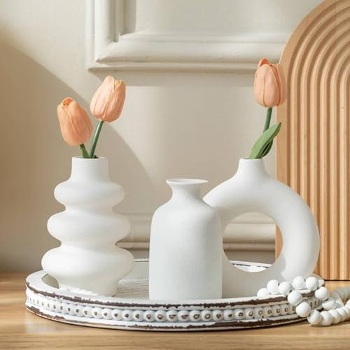 [AiiBowy] Set di 3 Vaso Ceramica Bianco - Vasi Ceramica Bonsai - Vasi Opachi Deco Per l'erba Della Pampa, Per Centrotavola, Vaso Moderni Decorativi Per la Decorazione Della Casa (Bianco Set di 3)