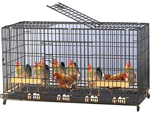 Großer Hühnerstall für drinnen und draußen mit Grasnest Rollen, geeignet für 315 Hühner (schwarz, 120 x 50 x 65 cm)